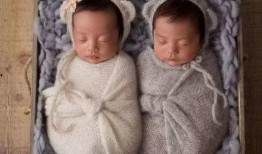 龙凤胎娱乐圈吃瓜,揭秘双星闪耀背后的甜蜜与辛酸