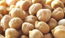 天麻豆的功效,滋补养生，益智安神的天然瑰宝